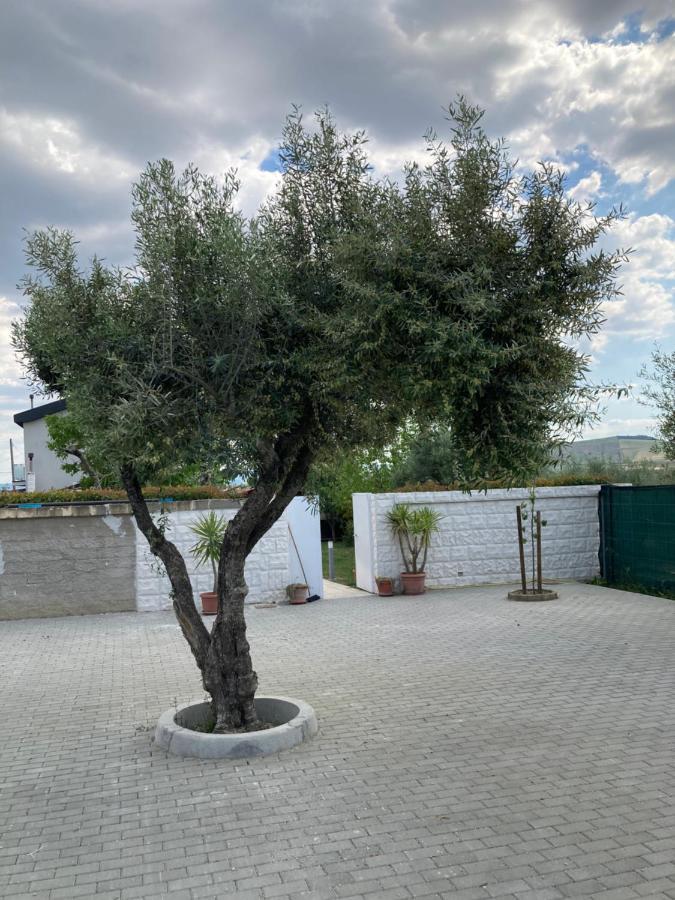 Villa Mater Matera Luaran gambar